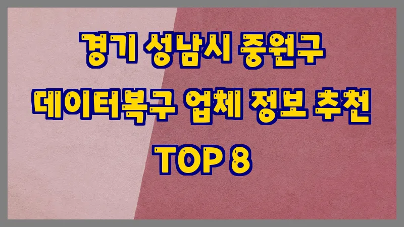 경기 성남시 중원구 데이터복구 업체 정보 추천 TOP 8