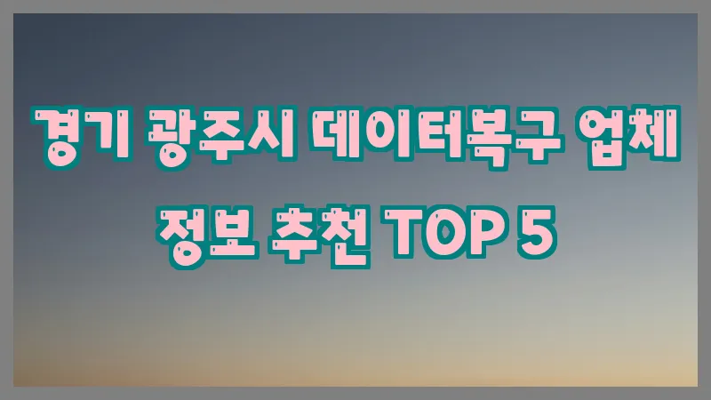 경기 광주시 데이터복구 업체 정보 추천 TOP 5