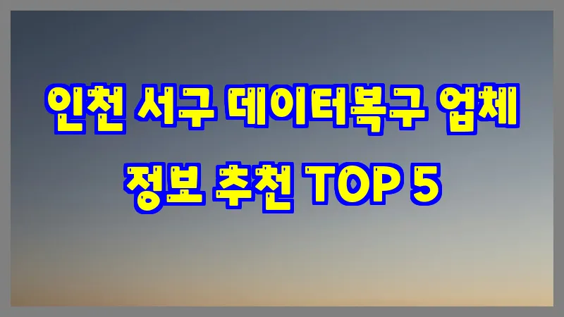 인천 서구 데이터복구 업체 정보 추천 TOP 5