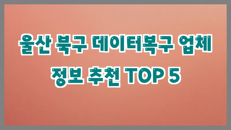 울산 북구 데이터복구 업체 정보 추천 TOP 5