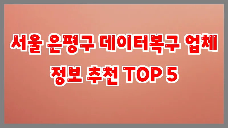 서울 은평구 데이터복구 업체 정보 추천 TOP 5