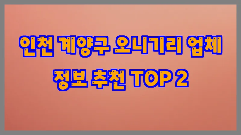 인천 계양구 오니기리 업체 정보 추천 TOP 2