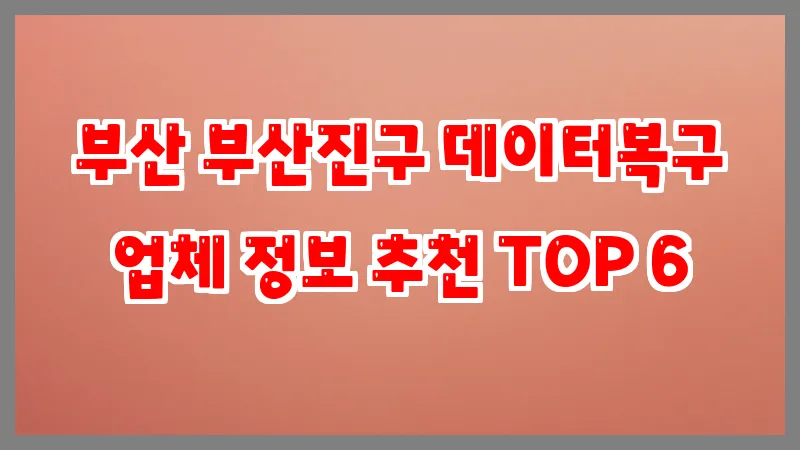 부산 부산진구 데이터복구 업체 정보 추천 TOP 6