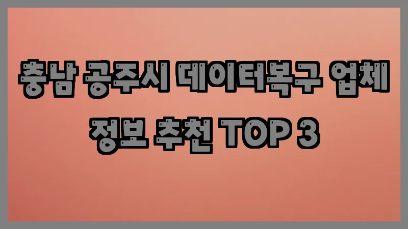 충남 공주시 데이터복구 업체 정보 추천 TOP 3
