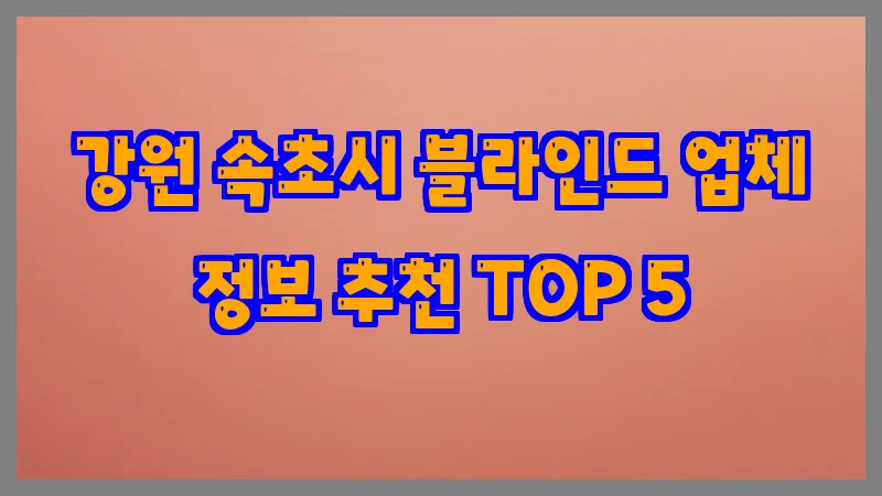 강원 속초시 블라인드 업체 정보 추천 TOP 5