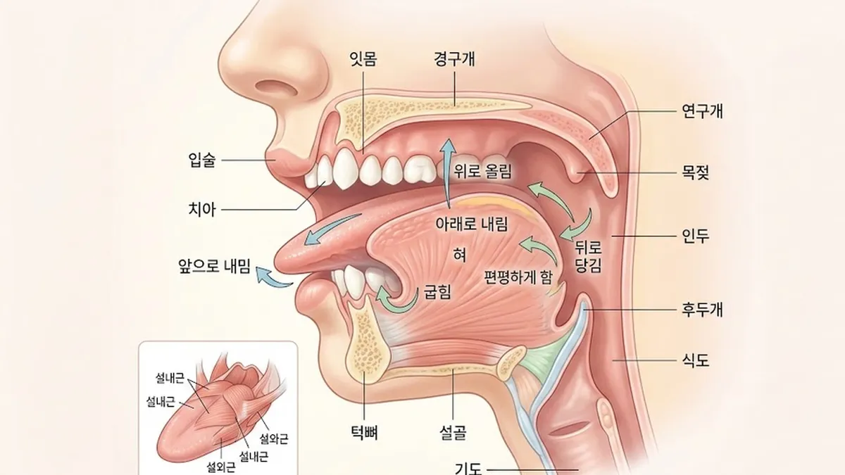 물놀이