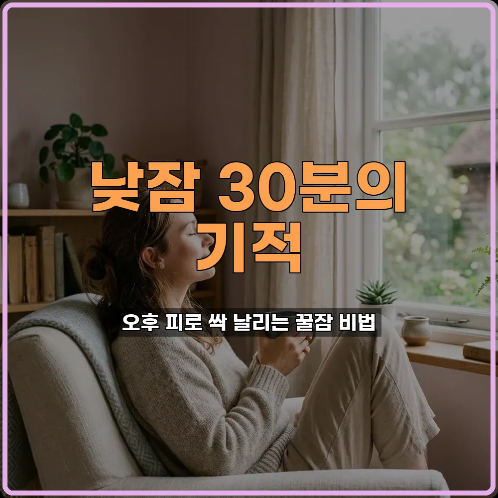 낮잠 30분 이내 효과적으로 자는 습관 피곤한 직장인을 위한 오후 에너지 회복법