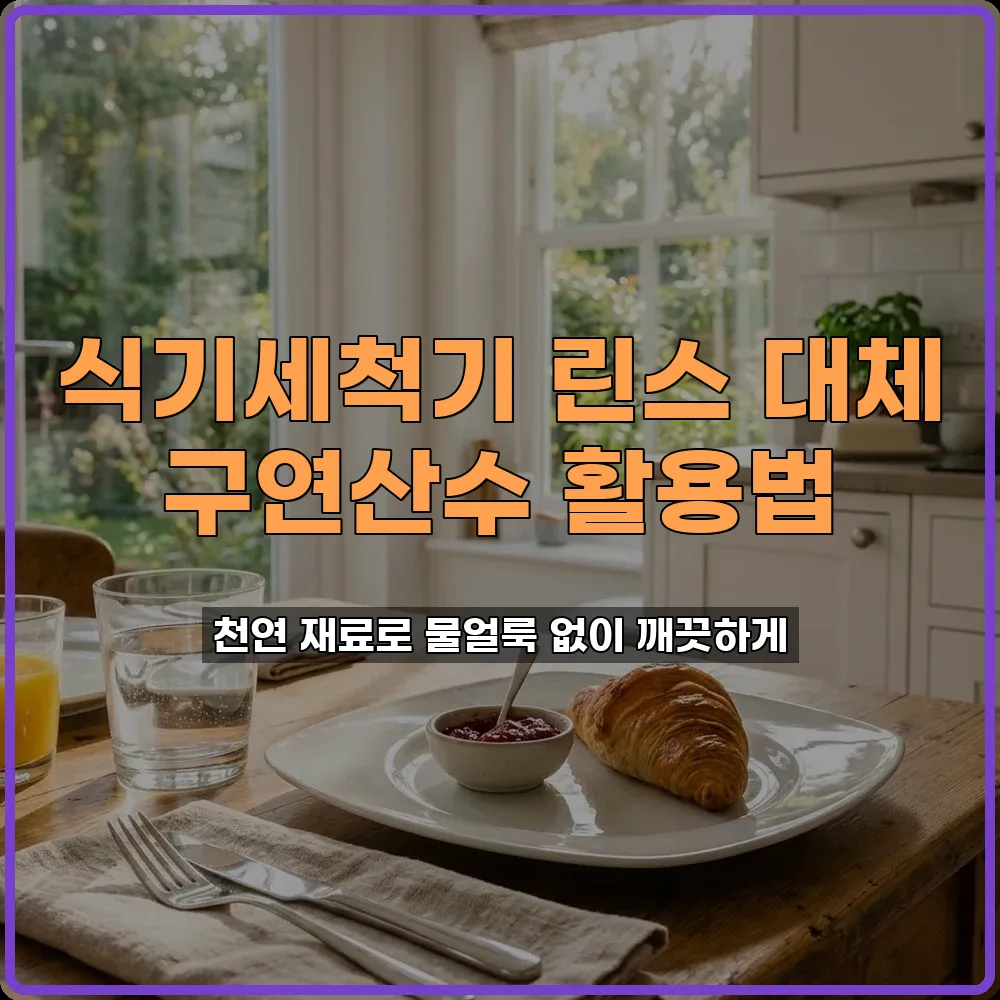 식기세척기 린스 구연산수