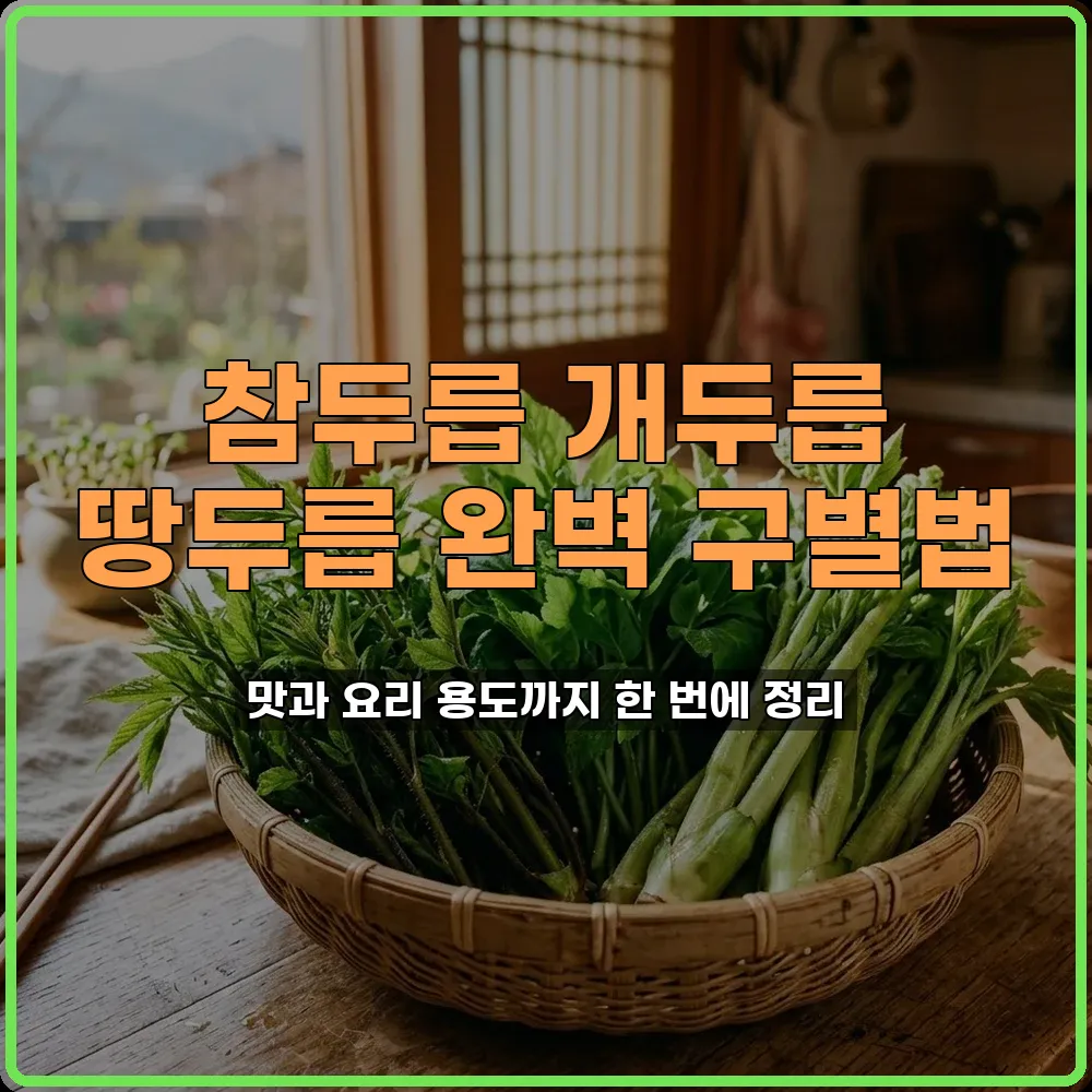 땅두릅 참두릅 개두릅 구별법