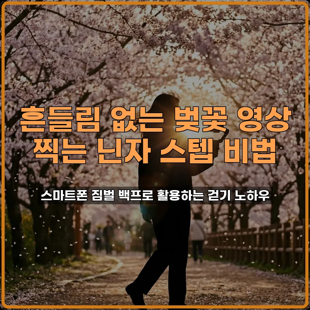 스마트폰 짐벌 닌자 스텝