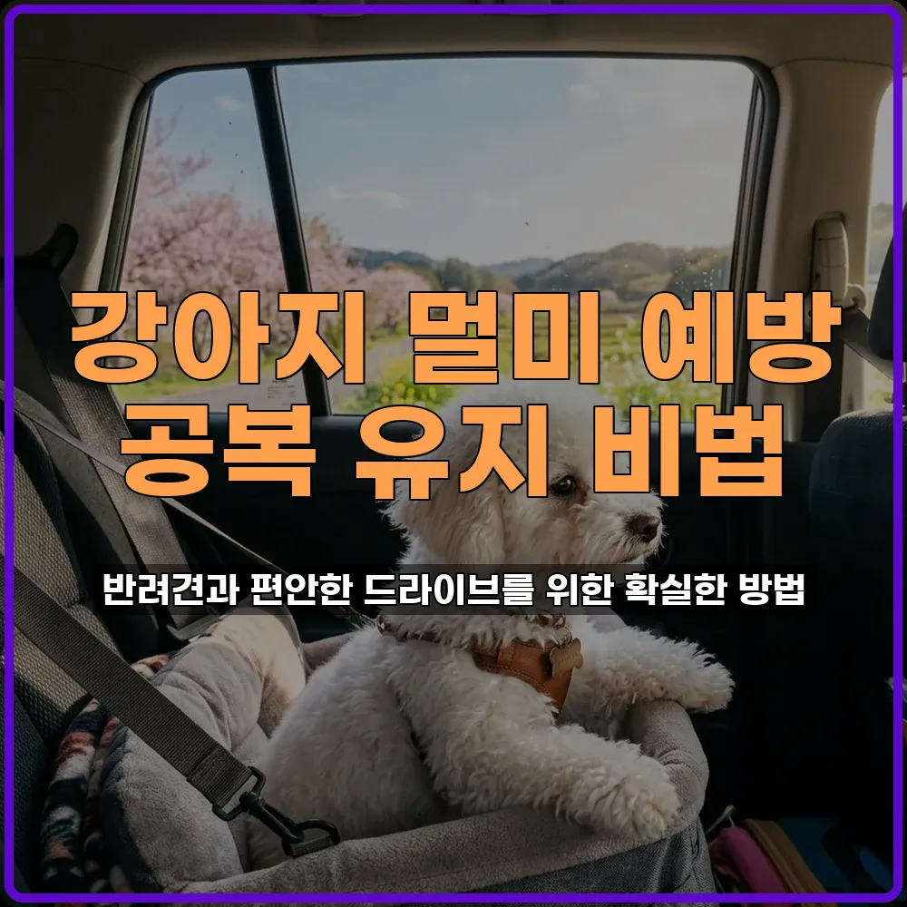 강아지 차 멀미 방지 공복 유지