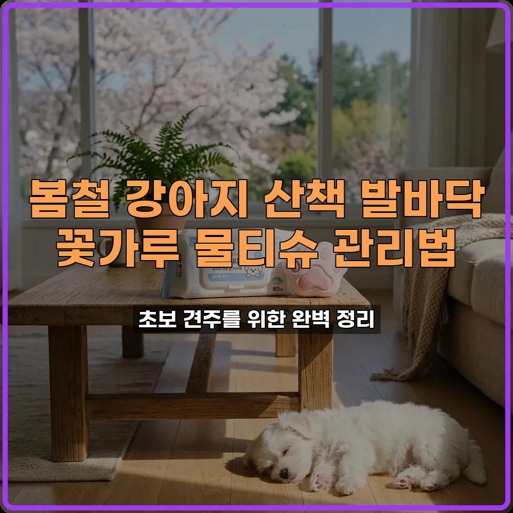 강아지 발바닥 봄철 산책 물티슈